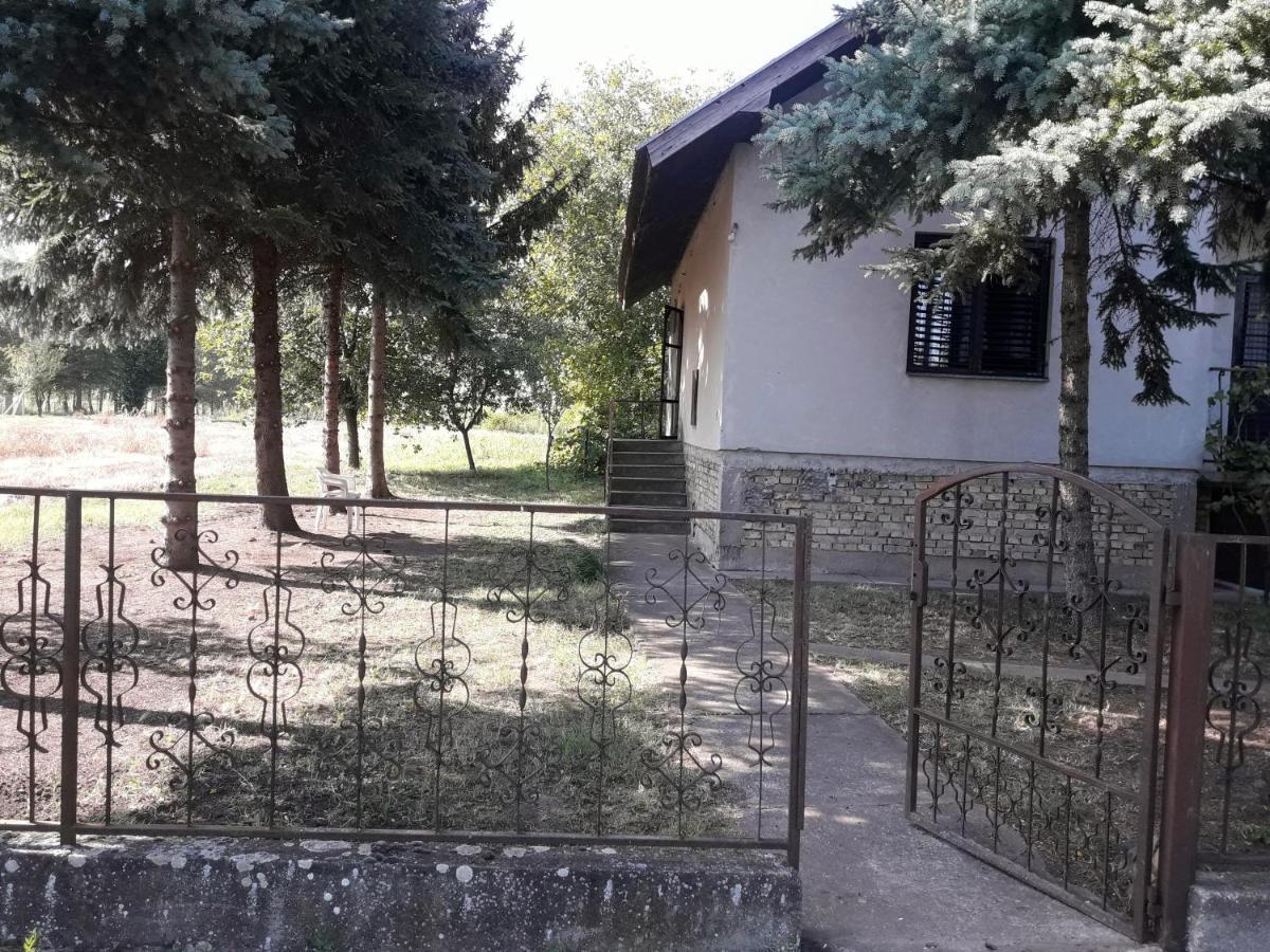 Villa Backi Raj Gornja Rogatica Exterior foto